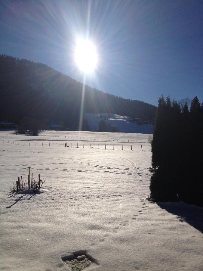 Ferienwohnung Bechter Hittisau Dış mekan fotoğraf
